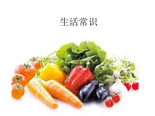 《生活常识》PPT课件