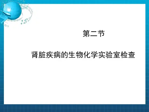肾脏疾病的生物化学实验室检查