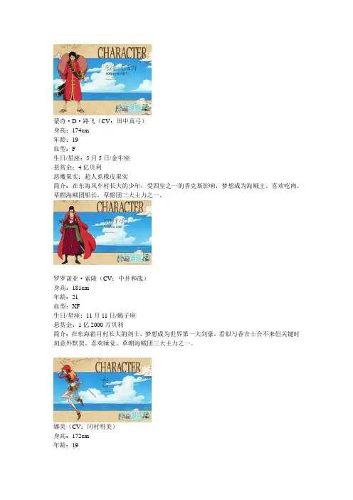 最强之敌Z