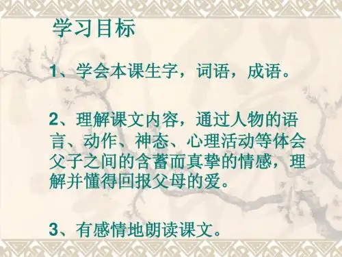 语文A版五下《一双新鞋》ppt