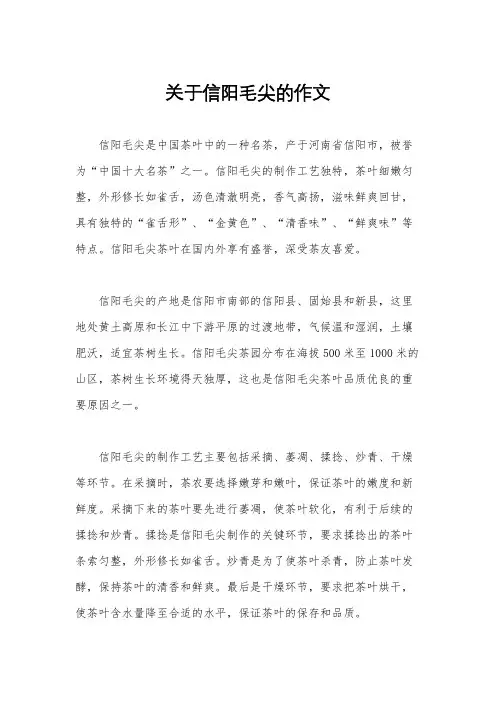关于信阳毛尖的作文