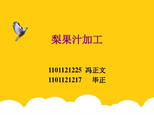 梨果汁饮料加工实用PPT文档