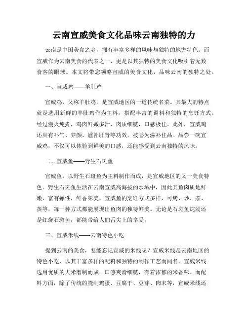 云南宣威美食文化品味云南独特的力