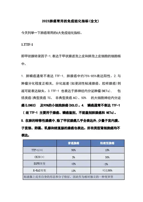 2023肺癌常用的免疫组化指标(全文)