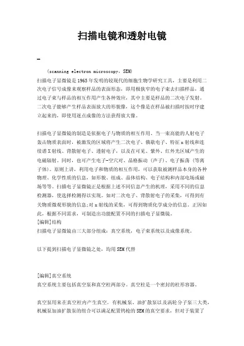 扫描电镜和透射电镜