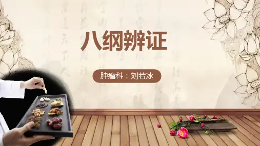 八纲辨证ppt课件