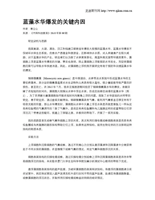 蓝藻水华爆发的关键内因