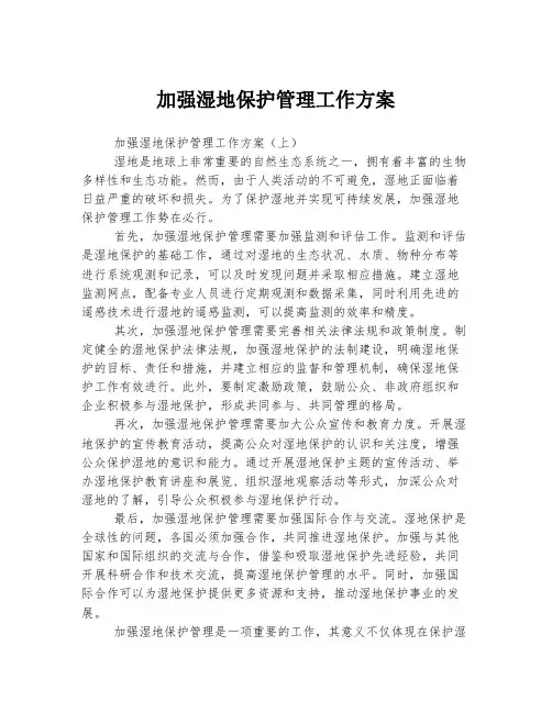 加强湿地保护管理工作方案