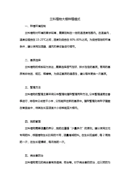 兰科植物大棚种植模式