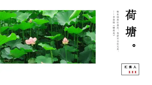 简约中国风荷塘通用PPT模板