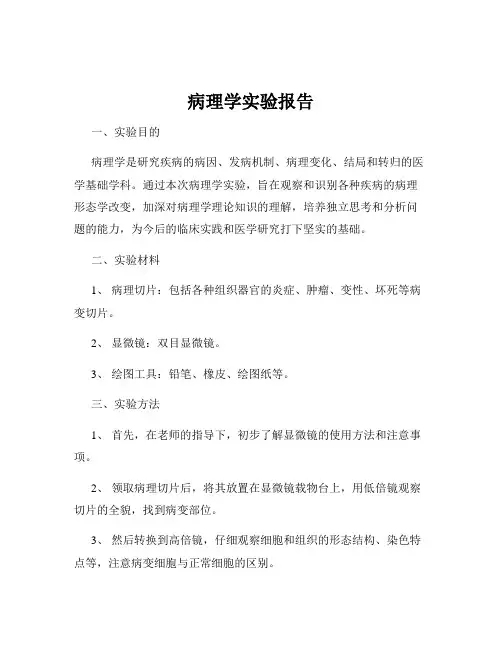 病理学实验报告