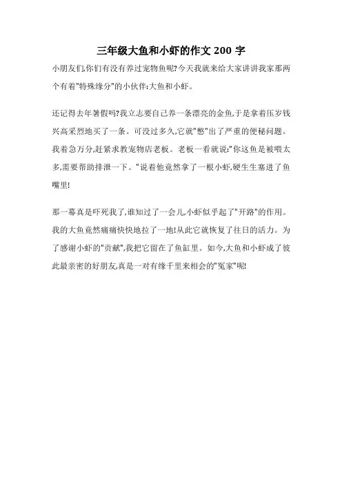 三年级大鱼和小虾的作文200字