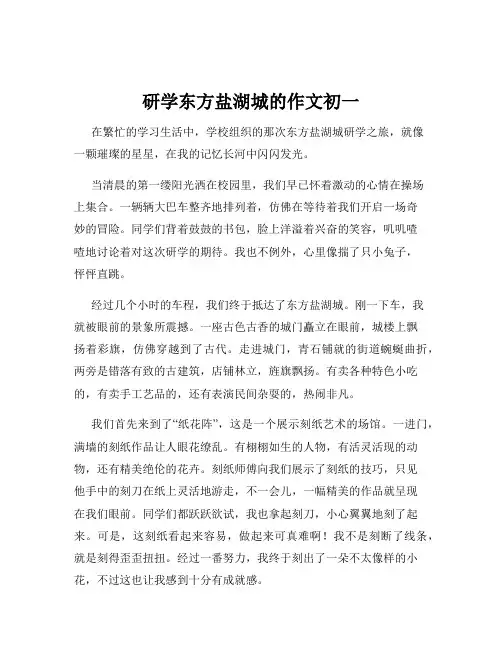 研学东方盐湖城的作文初一
