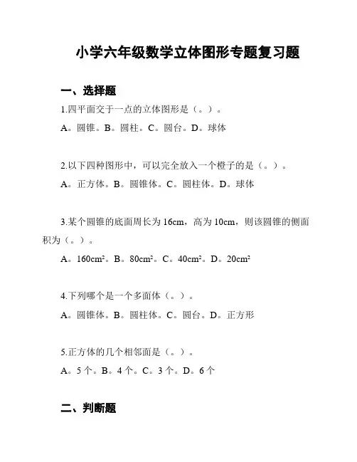 小学六年级数学立体图形专题复习题