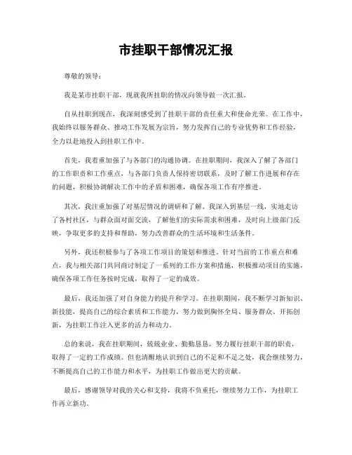 市挂职干部情况汇报