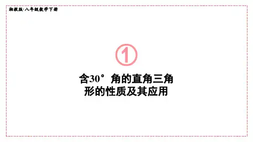 《含30°角的直角三角形的性质及其应用》PPT课件 湘教版