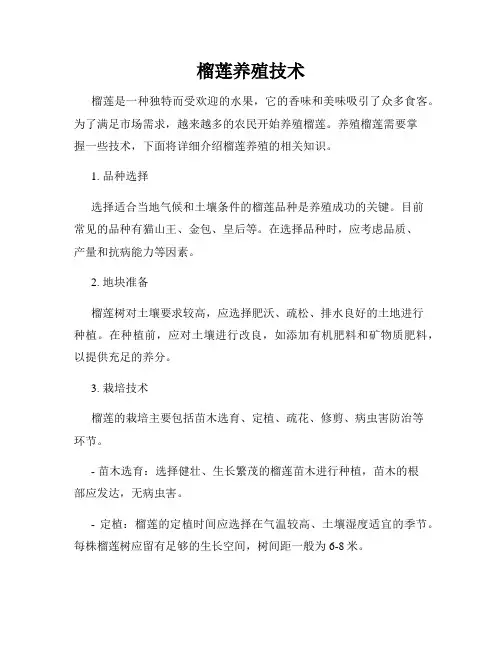 榴莲养殖技术