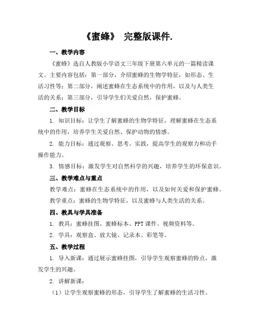 《蜜蜂》完整版课件.