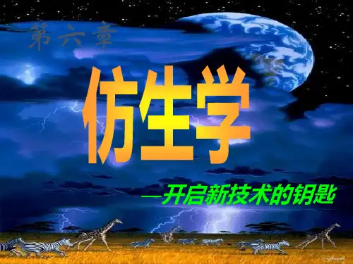第六章仿生学