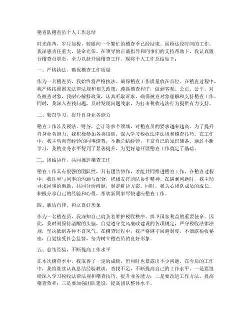 稽查队稽查员个人工作总结