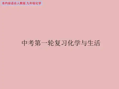 中考复习第一轮专题复习：化学与生活(共16张PPT)