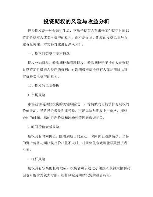 投资期权的风险与收益分析