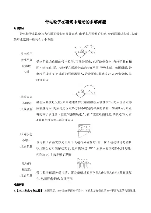 02带电粒子在磁场中运动的多解问题-高考物理磁场压轴综合题详解(解析版)