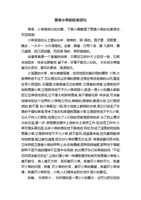 赞美小草的优美语句