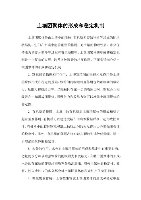 土壤团聚体的形成和稳定机制