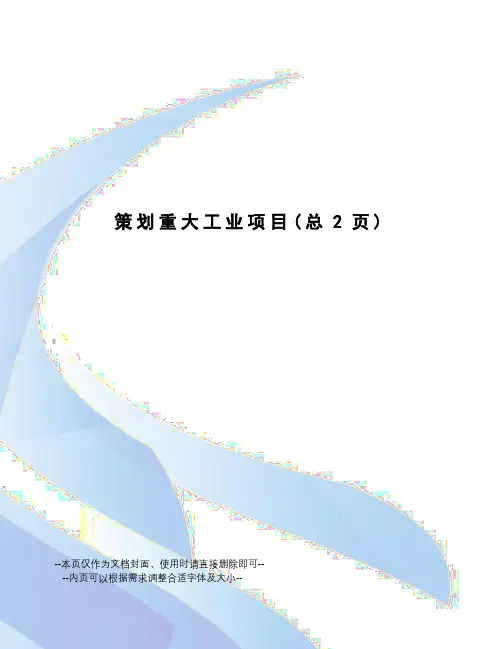 策划重大工业项目