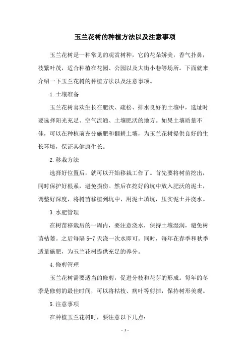 玉兰花树的种植方法以及注意事项