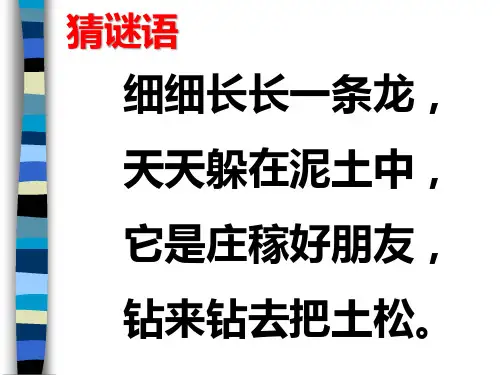 三年级上科学《蚯蚓》课件PPT