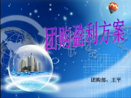 团购网盈利模式分析
