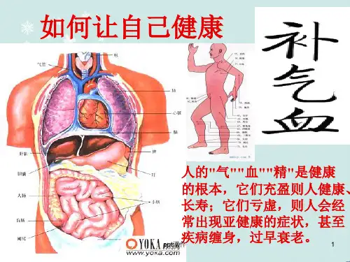 中医气血  ppt课件