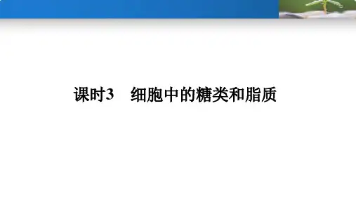 2023届高三生物一轮复习课件细胞中的糖类和脂质