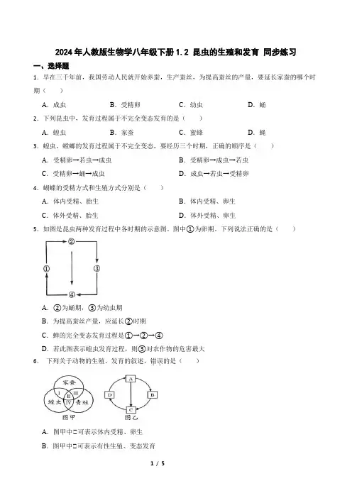 2024年人教版生物学八年级下册1.2 昆虫的生殖和发育 同步练习