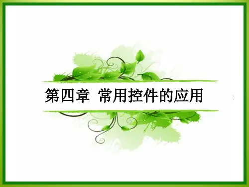 Visual Basic常用控件的应用课件PPT