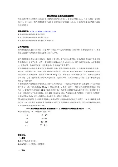 聚丙烯酰胺凝胶电泳实验分析