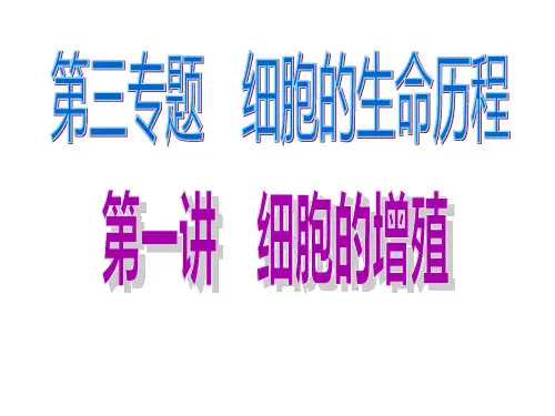 高三练习可用一轮生物复习细胞的增殖有丝分裂和减数分裂ppt课件