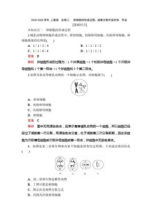 2019-2020学年 人教版  必修二  卵细胞的形成过程、减数分裂中染色体  作业 
