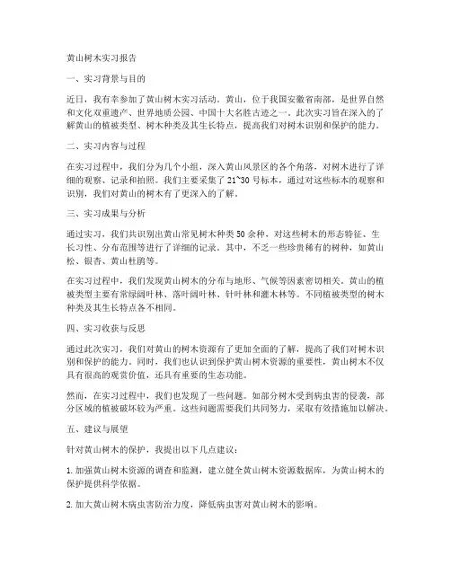 黄山树木实习报告