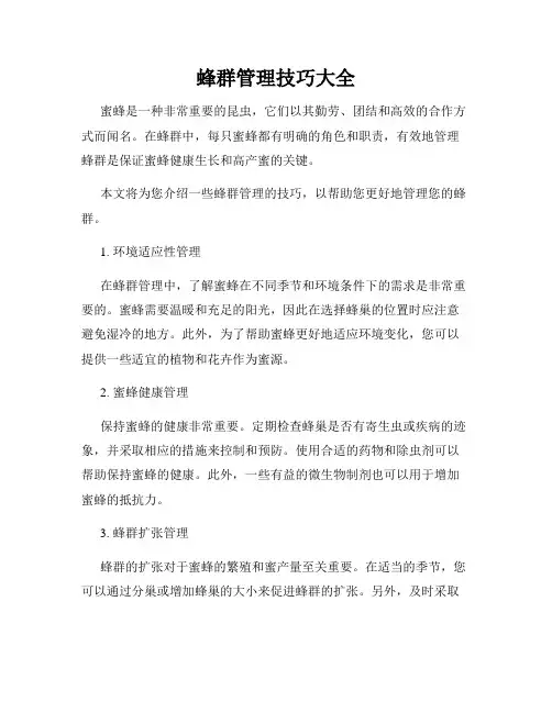 蜂群管理技巧大全