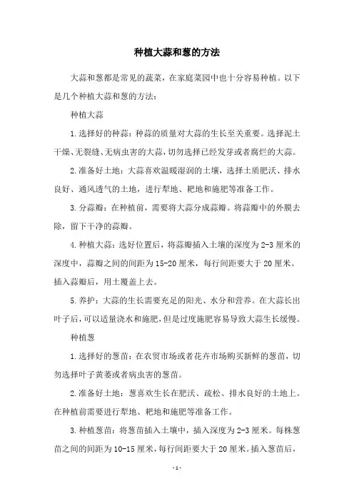 种植大蒜和葱的方法