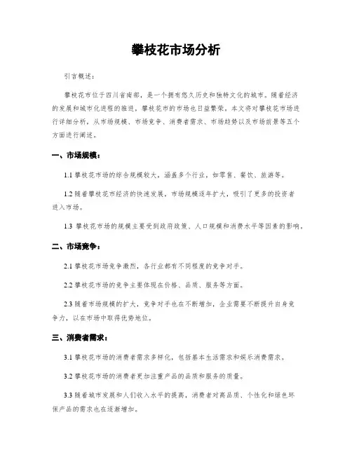 攀枝花市场分析