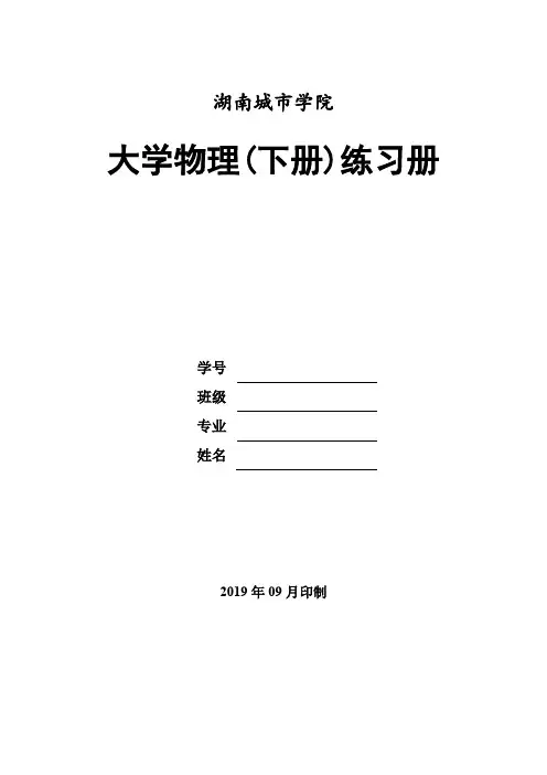 2019大学物理-电磁学