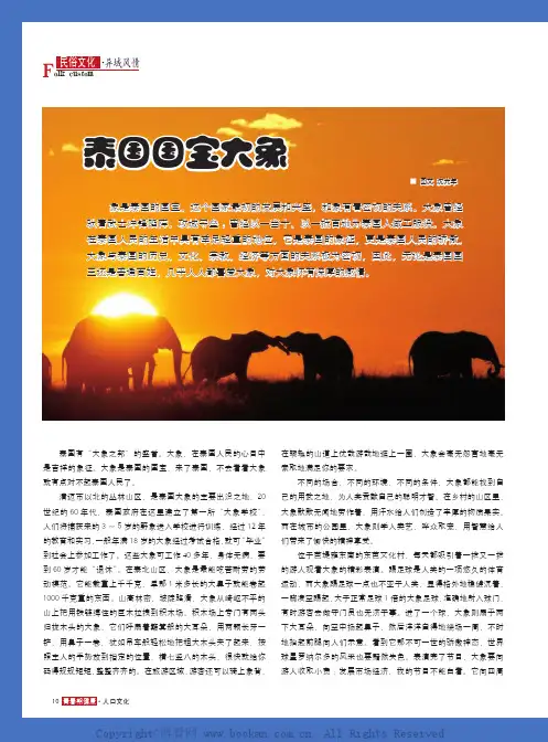 泰国国宝大象 