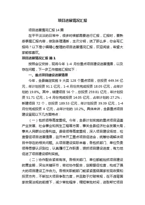 项目进展情况汇报14篇