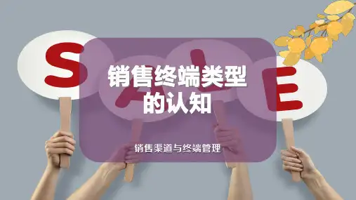 销售终端类型的认知