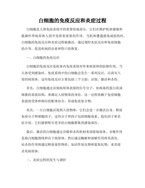 白细胞的免疫反应和炎症过程