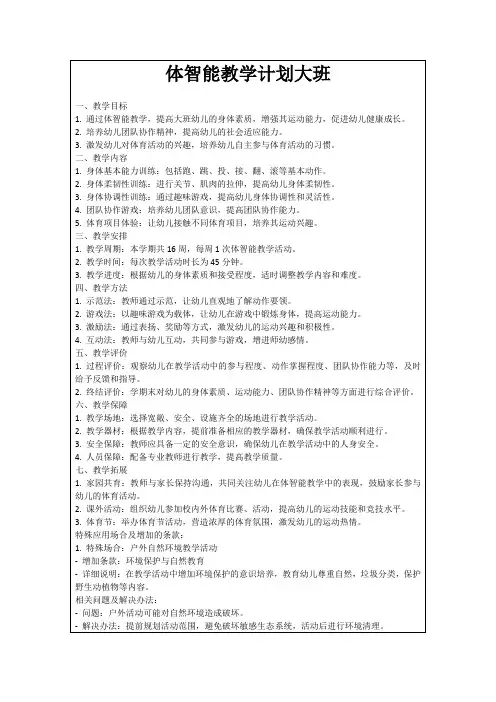 体智能教学计划大班